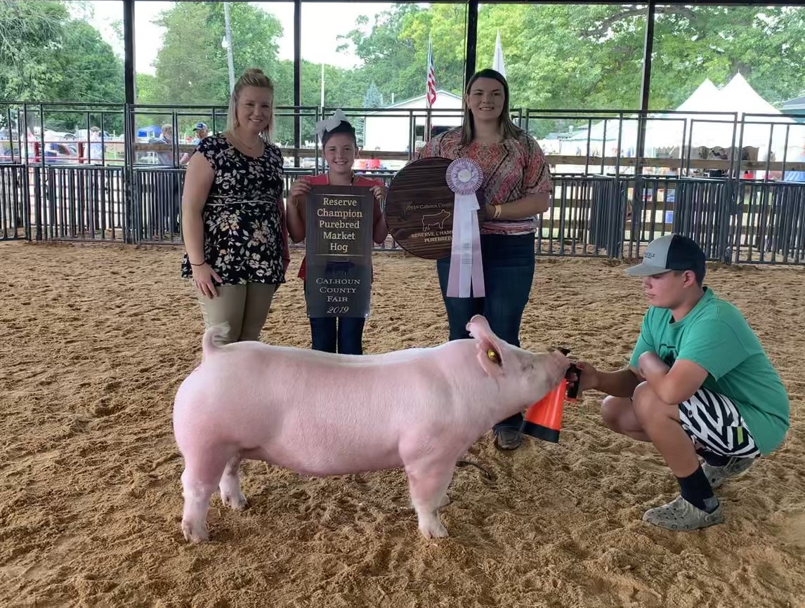 2019 Calhoun County Fair, Reserve Champion York, Reserve Champion Purebred Overall, Sired by Hand It Over